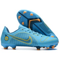 Бутсы Nike Mercurial Vapor XV FG - 447-gl